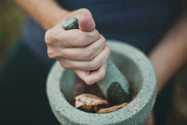 Samskara: The Sacred Craft of Ayurvedic Preparation”