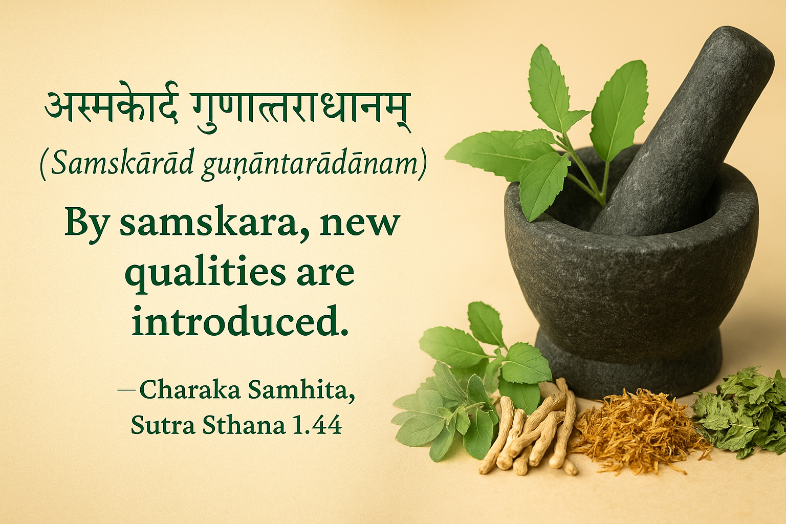 Samskaras / Sanskaras